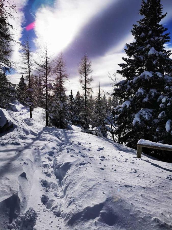 Chalet Gorenjka - Velika Planina Stahovica Exterior foto