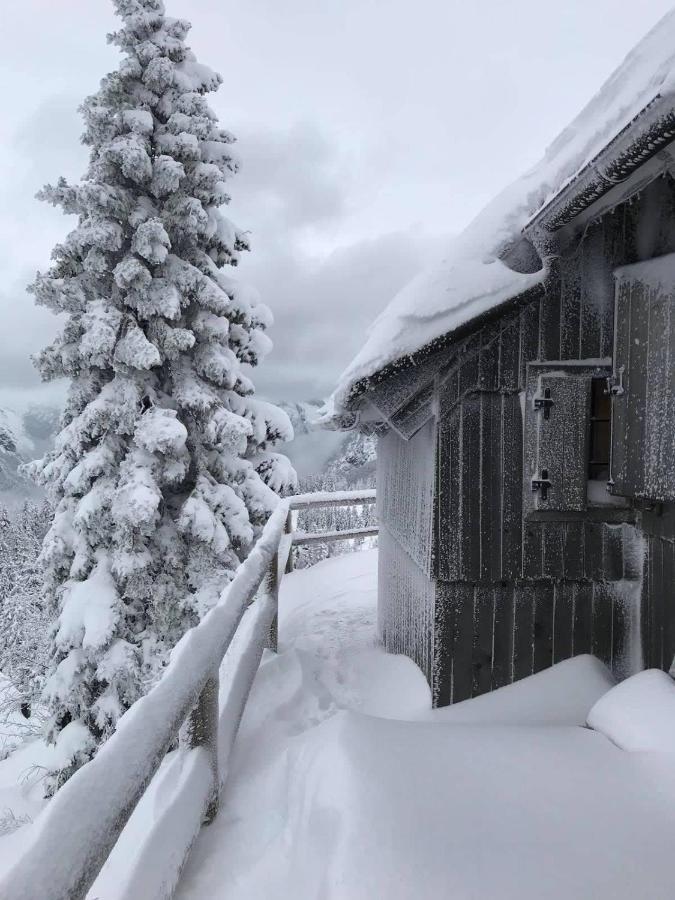 Chalet Gorenjka - Velika Planina Stahovica Exterior foto
