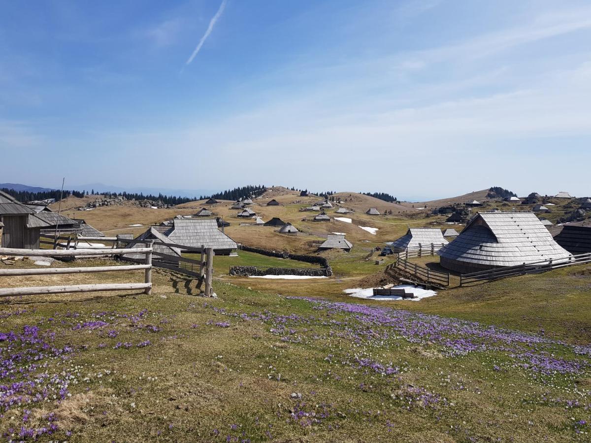 Chalet Gorenjka - Velika Planina Stahovica Exterior foto